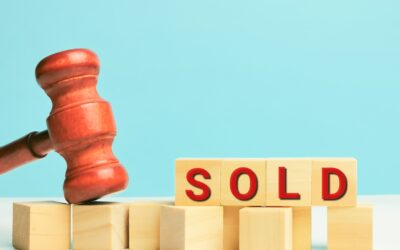 The Impact of Instant Sale Price Information on Future Price Hikes: A More Stable Market