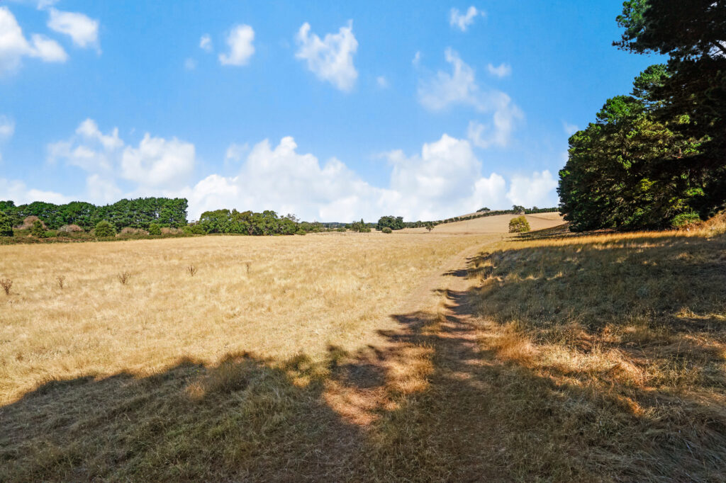 Yendon No 2 Road, Scotsburn - Near Ballarat