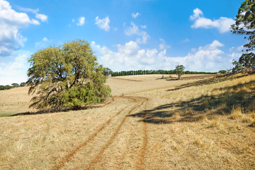Yendon No 2 Road, Scotsburn - Near Ballarat