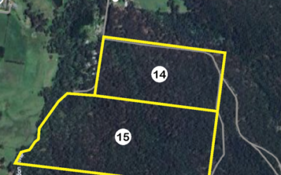 14 & 15 Plantation Road, Glenlyon