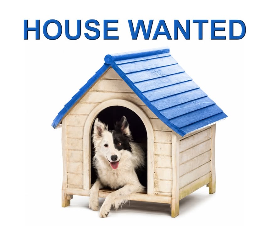 McFall Real Estate